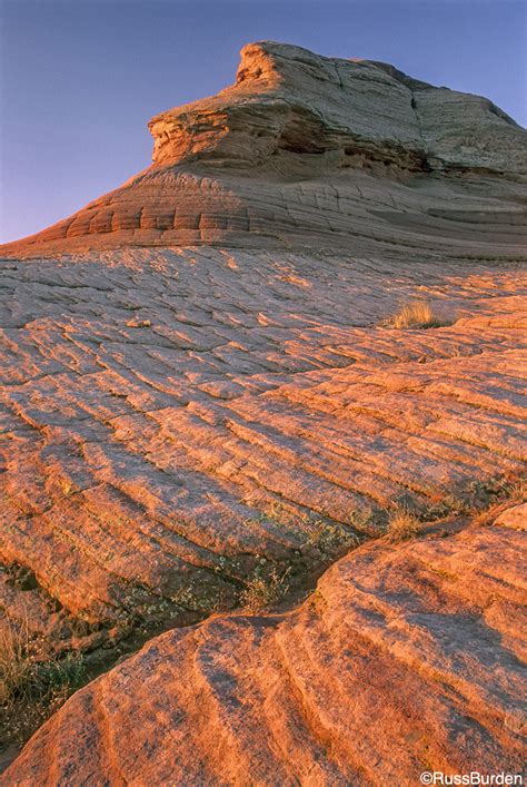 understanding depth  field  nature photography outdoor photographer