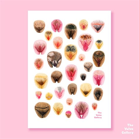Large Art Print Vulva Variety II the Vulva Gallery - Etsy