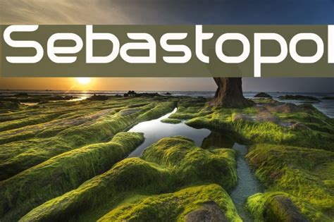 sebastopol font ffontsnet