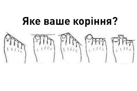 Дізнайтеся про своє походження за пальцями стопи – Kenguru