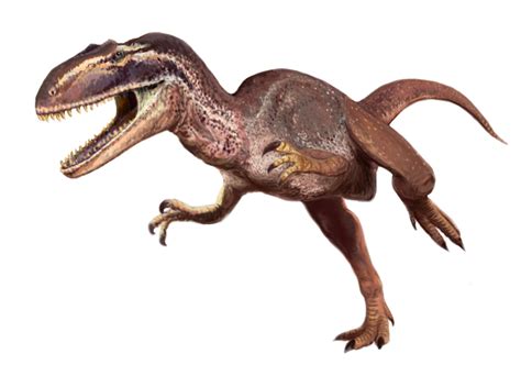 Metriacanthosaurus | Dinopedia | Fandom