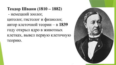 Клеточная теория. Типы клеточной организации - презентация онлайн