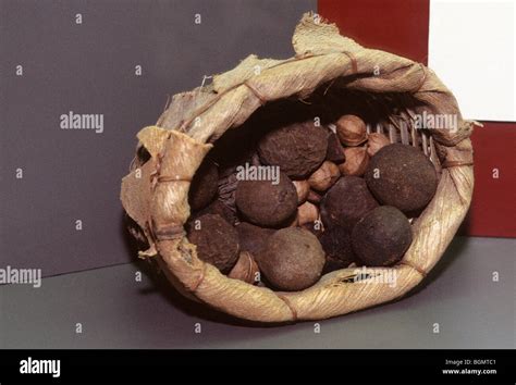 Mississippian artifacts hi-res stock photography and images - Alamy