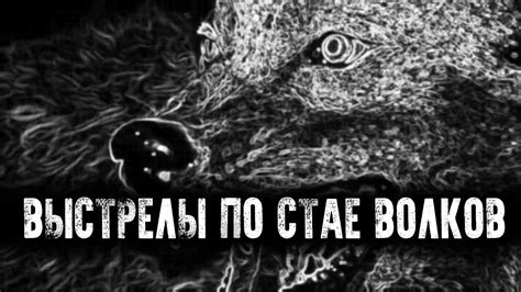 ЧЕТЫРЕ ВОЛКА ЗА ТРИ ВЫСТРЕЛА - YouTube