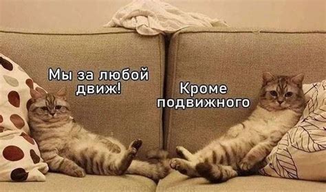 Животные Bидео| Animals Videos | 😂😂😂 | Instagram