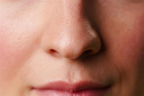 nose outline stock  images  backgrounds