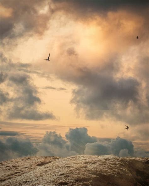 editing background editz stock