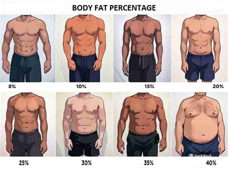 body fat percentage calculator fit calculator