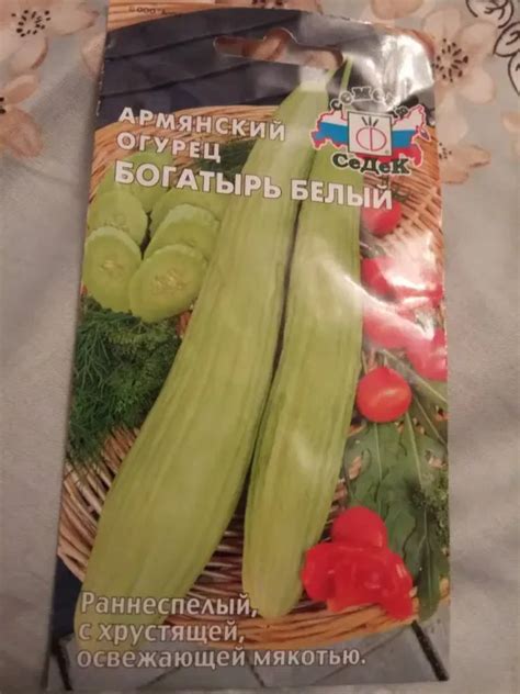 Армянский огурец Богатырь белый - характеристика и описание сорта, фото ...