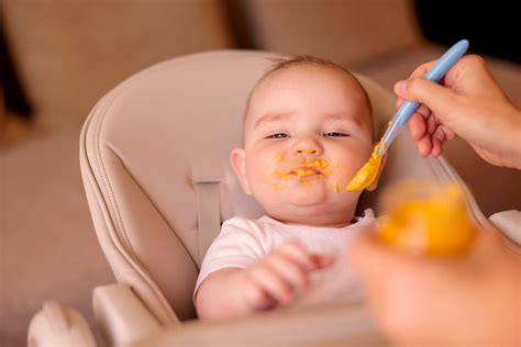 Quando Começa A Introdução Alimentar
