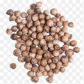 Atar png images | PNGEgg
