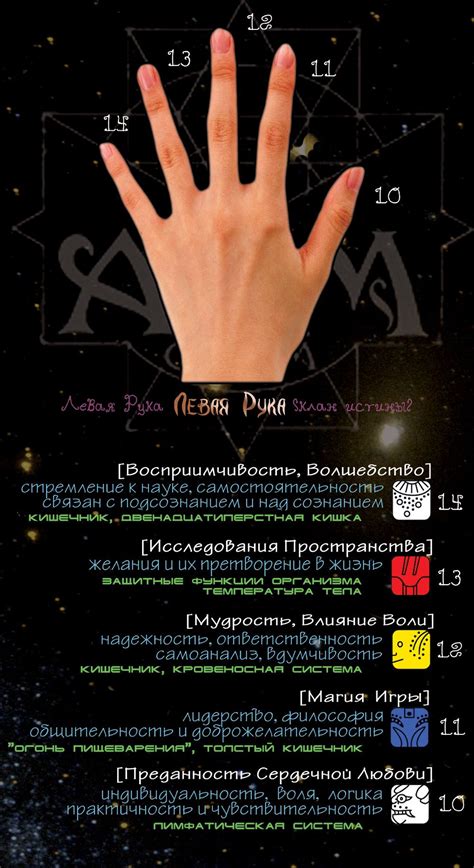 Значение пальцев рук и их энергия (With images) | Palmistry, Body ...