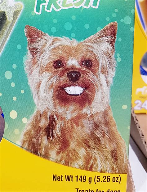 Human teeth on a dog tooth cleaning product : r/oddlyterrifying