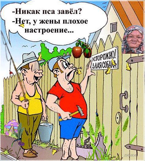Злая жена - Мир картинок анимаций