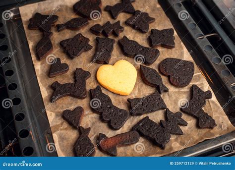 Christmas Biscuits in Different Shapes on Baking Tray Stock Image - Image of carelessness ...