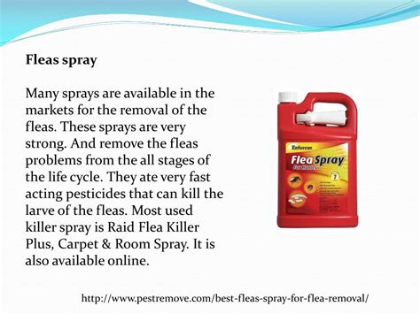 best spray for fleas in the house 9