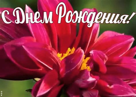 Красивое поздравление женщине | Открытки Онлайн