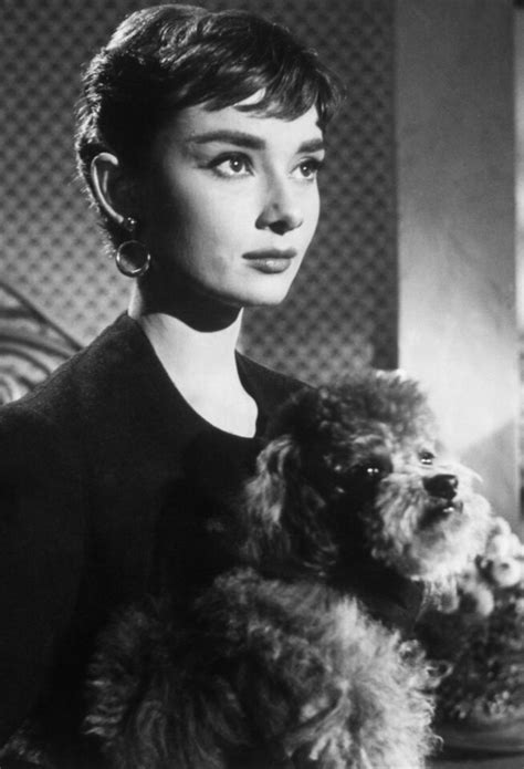 Фото: Сабрина / Кадр из фильма «Сабрина» (1954) #685597