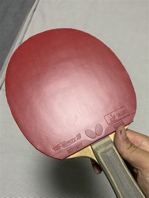 Butterfly Tenergy 19 Red 2.1mm, Sports Equipment, Sports & Games ...