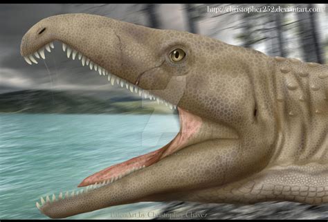 Proterosuchus by Christopher252 on DeviantArt