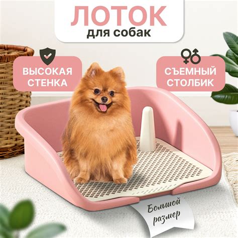 Лоток туалет для собак со столбиком. Розовый купить на OZON по низкой ...