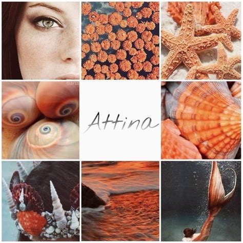Pin by Carla Strub on bridgerton in 2025 | Disney collage, The little ...