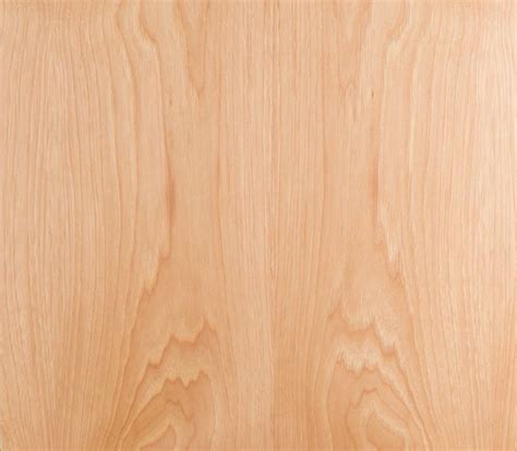 Hickory, FC - Forestree