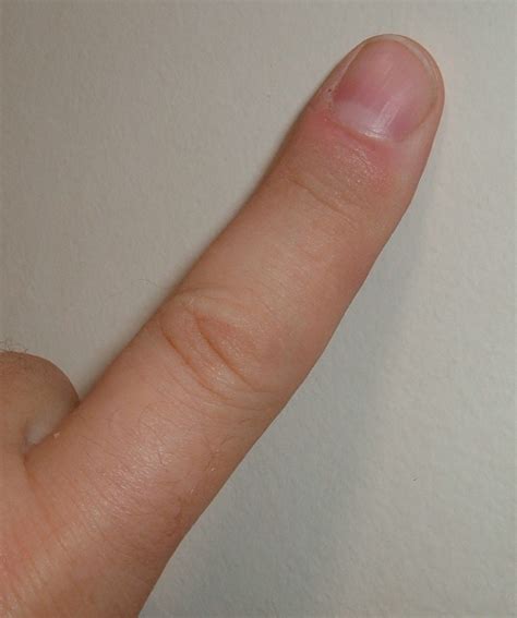 finger simple english wiktionary