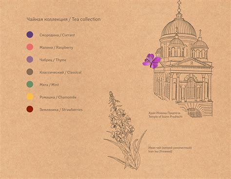 Упаковка для чайной коллекции / tea packaging :: Behance