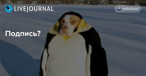 Подпись?: radulova — LiveJournal