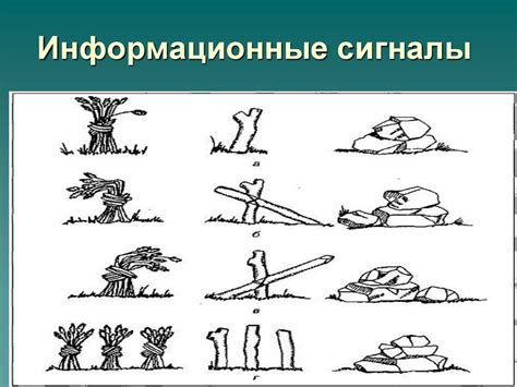 Сигналы бедствия - презентация онлайн