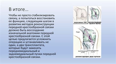 Повреждения разгибательного аппарата коленного сустава - презентация онлайн