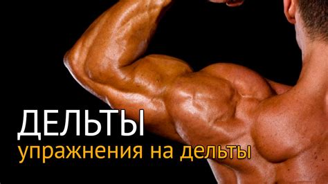 Упражнения на дельты - тренировка отстающих дельт - YouTube