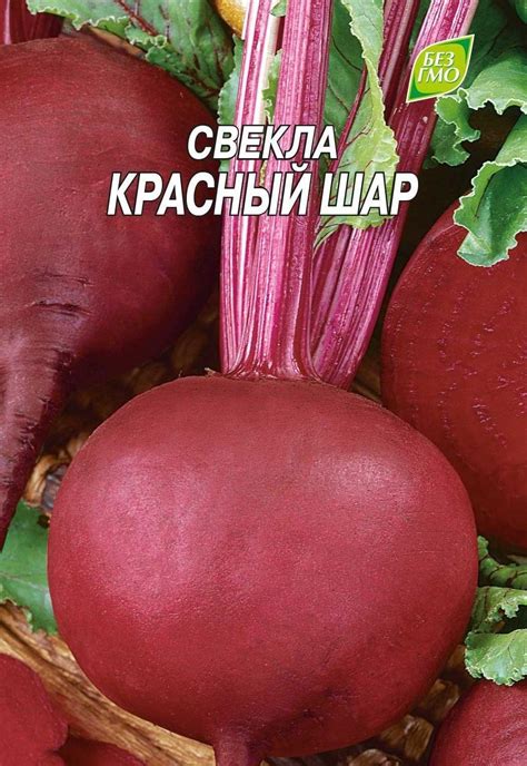 Что можно сажать после свеклы на следующий год, предшественники