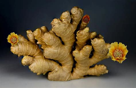 Farnesene Effects, Benefits & Strains High in Farnesene | Green Health Docs