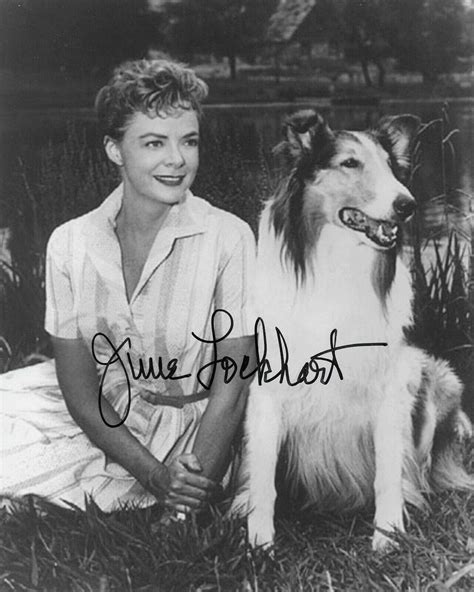 June Lockhart Lassie Original Autographed 8X10 photo | #3841187259
