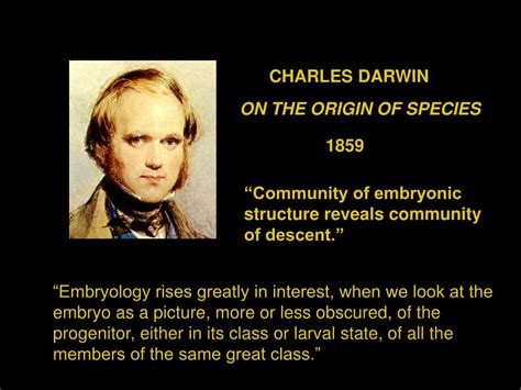 PPT - MECHANISM of DARWINIAN NATURAL SELECTION PowerPoint Presentation ...