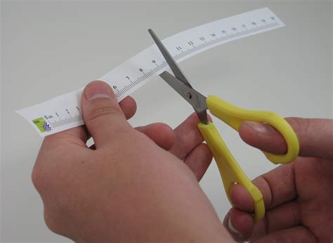 Exploring Size - Tiny Ruler | NISE Network