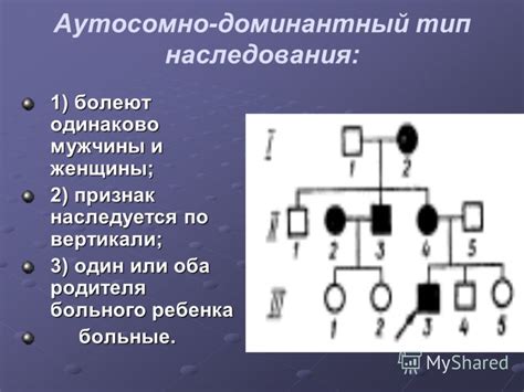 Презентация на тему: "Основы генетики человека. Наследственные болезни ...