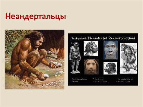 Происхождение и сущность человека • Антропосоциогенез