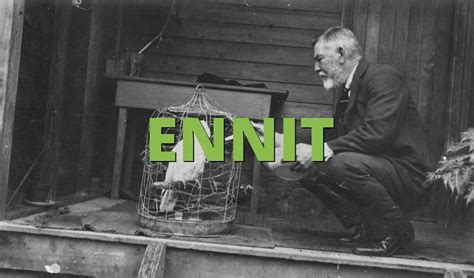 ENNIT Meaning » Slang.org