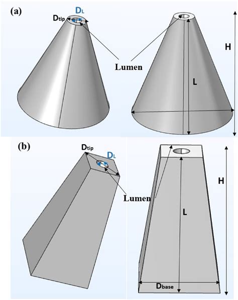 cross sectional view   conical shape   pyramidal shape