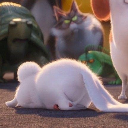 Pin by Coêlho on Memes | Cute cartoon pictures, Snowball rabbit, Cute ...