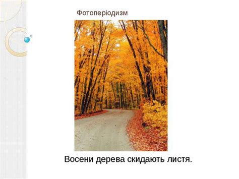 Презентация на тему "Фотоперіодизм" - скачать бесплатно презентации по ...