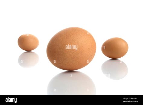 XXL eggs, XXL Ei Stock Photo - Alamy
