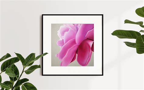 Penelope -flower Art Print - Etsy