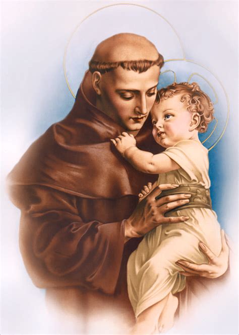 st anthony  padua feast day  calla merilyn