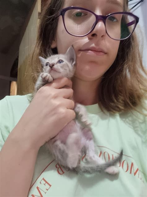 SPICY kittens found on the street. : r/kittens