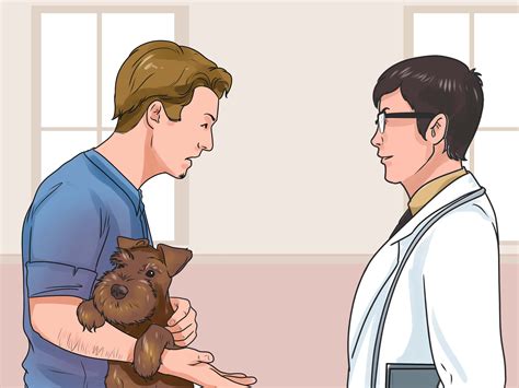 3 Ways to Recognize Poisoning in Dogs - wikiHow