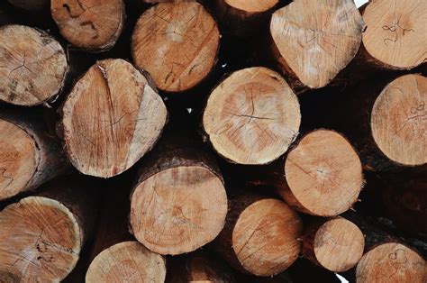 DAFM to inspect all timber imports from Scotland in 2024 - Agriland.ie